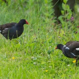 Untitled (96 Of 153).jpg